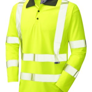 p06 y woolsery ecoviz scaled